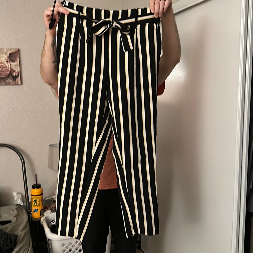 Dress pants
